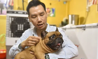 Thú chơi cún cưng 'hái ra tiền' của chàng trai 9x Hà thành