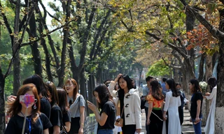 Giới trẻ Hà thành rộn ràng tạo dáng với sắc đỏ bằng lăng