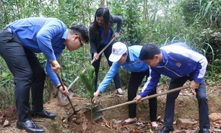 Đoàn viên thanh niên tham gia trồng cây xanh. Ảnh: Thành đoàn Hải Phòng