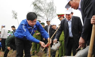 Các đại biểu trồng cây phi lao gây rừng phòng hộ