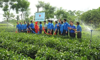 Chuyển giao mô hình ứng dụng khoa học kỹ thuật vào nông nghiệp