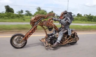 Bắt gặp Predator đang cưỡi trên quái vật Xenomorph ở Thái Lan