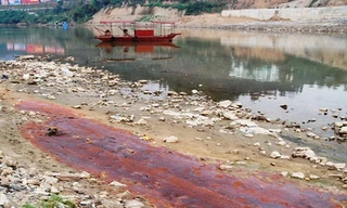 Nước lạ trên sông Hồng