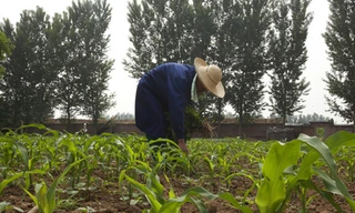 Trung Quốc sẽ cải cách sâu rộng