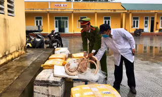 Chặn hơn 7 tạ thịt 'bẩn' trên đường vào Nam tiêu thụ dịp Tết