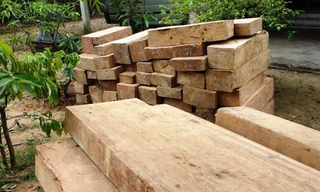 Gần 50 phách gỗ rừng ận chuyển bằng xe tải trên Quốc lộ 1 bị CSGT bắt giữ