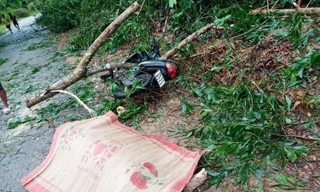 Bão số 5 đã làm 3 người thiệt mạng tại tỉnh TT-Huế.