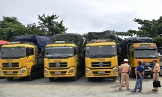 Tạm giữ 4 xe tải chở hàng vượt quá giới hạn chiều dài cho phép, do 4 lái xe không có giấy phép điều khiển