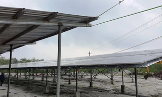 Một vụ cháy rừng trồng tại xã Quảng Lợi (huyện Quảng Điền, TT-Huế). Đây là địa bàn có sự tồn tại của các công trình điện mặt trời mái nhà trong trang trại nông nghiệp.