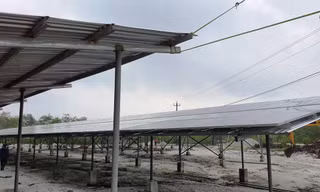 Một vụ cháy rừng trồng tại xã Quảng Lợi (huyện Quảng Điền, TT-Huế). Đây là địa bàn có sự tồn tại của các công trình điện mặt trời mái nhà trong trang trại nông nghiệp.