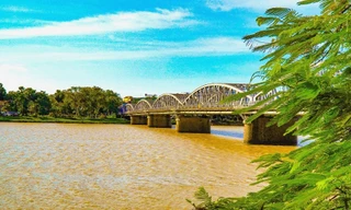 Một dòng Hương có màu sắc khác thường.