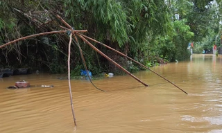 Mưa ngập đường, ngập nhà, ngập luôn phương tiện kiếm cơm của người dân.
