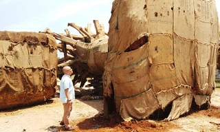 Các cây "kỳ quái" tập kết ven đường tránh Huế đang chờ hồ sơ chứng minh hoạt động khai thác, vận chuyển lâm sản hợp pháp