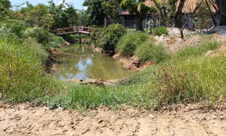 Theo kết luận của UBND thị xã Hương Thủy, việc xây dựng khu resort nhà vườn Hoàng Mai của ông Lê Ngọc Thiện đã gây ra nhiều vi phạm về xây dựng, chiếm dụng đất công, bồi lấp khe suối