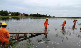 Cán bộ, công nhân Công ty Điện lực TT-Huế xử lý sự cố cột điện gãy, đổ do bão số 5. Ảnh: Nguyễn Tuấn.