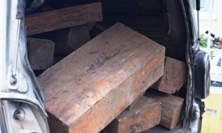 Xe chở gỗ lậu vi vu trên Quốc lộ 1, qua mặt nhiều lực lượng chức năng trước khi bị CSGT TT-Huế chặn bắt