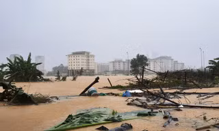 Đại hội đại biểu Đảng bộ tỉnh TT-Huế lần thứ XVI tạm hoãn để tập trung khắc phục hậu quả lũ lụt.