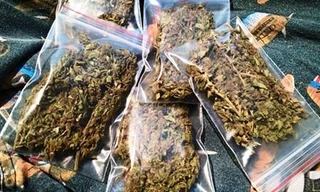 Phát hiện 1kg chất gây nghiện chuyển qua đường bưu phẩm