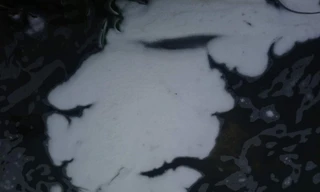 Bọt trắng bẩn thỉu trên sông An Cựu