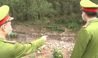 Dòng nước thải đen ngòm xả thẳng ra môi trường từ trang trại chăn nuôi của Cty Trí Dũng.