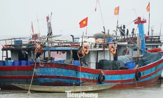 Hơn 170 phương tiện đánh bắt thủy, hải sản trên biển, với trên 1.000 lao động nghề cá thuộc địa bàn TT-Huế đã trở về nơi trú tránh bão an toàn.