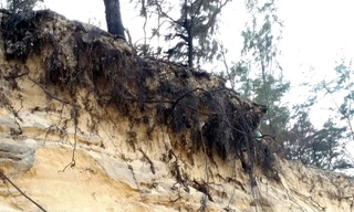 Nạn xâm thực bờ biển diễn ra dữ dội và nguy hiểm tại xã Phú Thuận, huyện Phú Vang, tỉnh TT-Huế