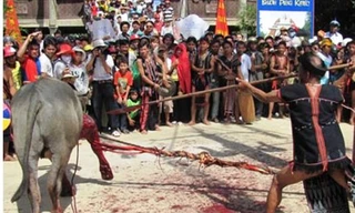 Lễ hội đâm trâu tại TT-Huế từng được vận động ngưng tổ chức tại hai huyện miền núi Nam Đông, A Lưới do tạo hình ảnh bạo lực, giết chóc và gây tốn kém (Nguồn internet)