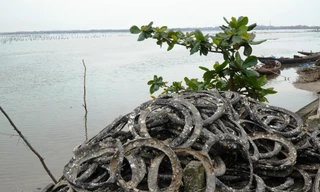 Sở NN&PTNT TT-Huế từng cho rằng, việc nuôi hàu bằng giá thể lốp xe cũ ở vùng nước nông và nhỏ sẽ có nguy cơ ảnh hưởng môi trường nước, làm mất đi hình ảnh đẹp thắng cảnh đầm Lập An.