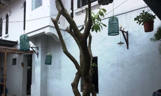 UBND thành phố Huế đã chỉ đạo Trung tâm Phát triển Quỹ đất thành phố cùng những cá nhân liên quan phải nghiêm túc chấn chỉnh, khắc phục lại hiện trạng biệt thự cổ bị xâm hại