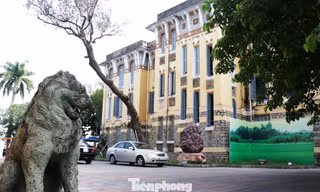 Nhiều chuyện "lạ" về bố trí nhân sự lãnh đạo, khai thác cơ sở vật chất… tại Trung tâm VH-TT& Thể thao TP Huế.