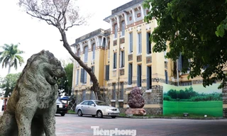 Nhiều chuyện "lạ" về bố trí nhân sự lãnh đạo, khai thác cơ sở vật chất… tại Trung tâm VH-TT& Thể thao TP Huế.