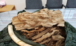 Tang vật bị thu giữ.