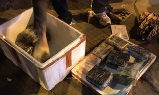 Lượng lớn ma tuý bị thu giữ.