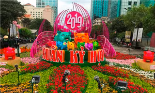 Đường hoa Tết Kỷ Hợi khai mạc vào tối nay 2/2.