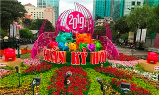 Đường hoa Tết Kỷ Hợi khai mạc vào tối nay 2/2.