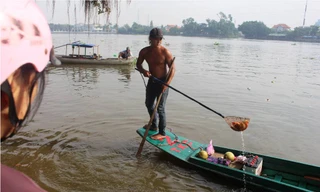 Cá chép ông Táo chưa kịp “hoá rồng” đã bị chích điện
