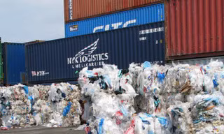 Các doanh nghiệp nhập phế liệu về nhưng không nhận khiến cảng Cát Lái bị ùn ứ.