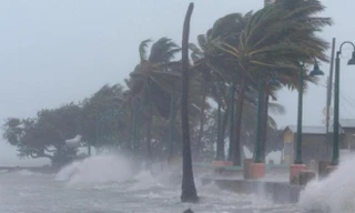 Thiên tai bất thường, dự báo xuất hiện 12-14 cơn bão mạnh trái quy luật