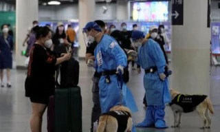 Tin tặc khẳng định hồ sơ về 1 tỷ dân Trung Quốc bị lộ từ hệ thống của cảnh sát Thượng Hải. (Ảnh: Reuters)