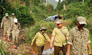 Người trẻ bảo vệ rừng già 