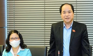 'Tại sao cứ nhất thiết phải đồng loạt có thanh tra huyện?'