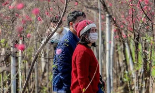 Diễn biến thời tiết từ 23 tháng Chạp đến mùng 6 Tết trên khắp cả nước