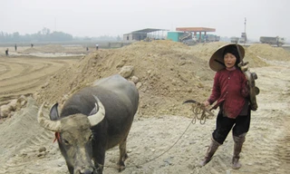 Cụ Trần Thị Tình (80 tuổi) vẫn phải ra đồng trong giá lạnh để cày ruộng