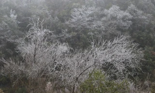 Nhiệt độ dưới -3 độ C, băng giá phủ trắng các xã biên giới huyện Mèo Vạc