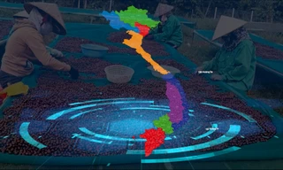 Kinh tế số là động lực quan trọng cho phát triển KT-XH khu vực Nam Trung Bộ và Tây Nguyên