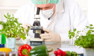 Ảnh minh họa: Internet