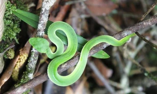 Ảnh minh họa: Internet