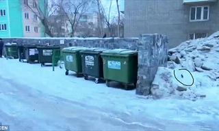 Các bộ phận thi thể của Natalya được phát hiện trong các thùng rác