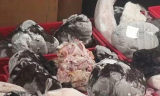 Số thịt đông lạnh từ thập niên 80 bị lực lượng chức năng Romania bắt giữ