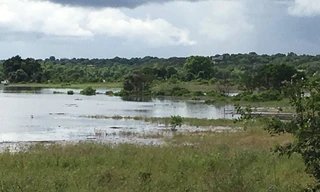 Chiếc xe tải đi qua con suối gần căn cứ Fort Hood thì bị dòng nước lũ chảy xiết cuốn trôi 